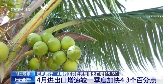 外贸进出口表现亮眼背后的底气AG真人网站关税战下 中国(图3)